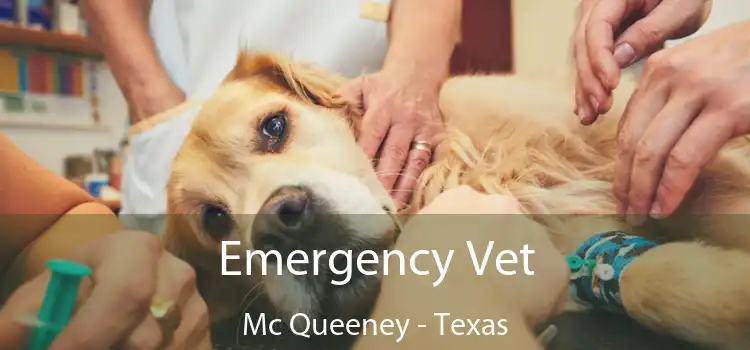 Emergency Vet Mc Queeney - Texas