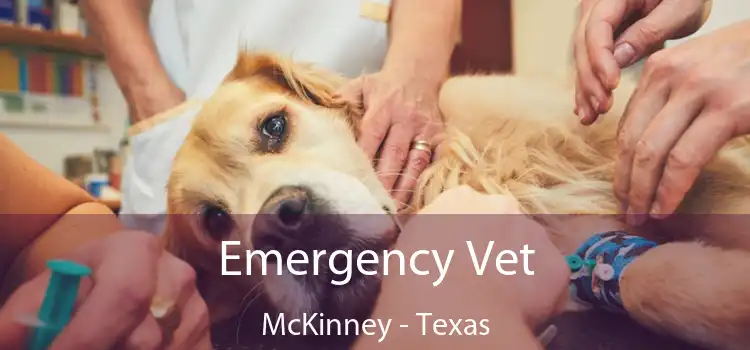 Emergency Vet McKinney - Texas