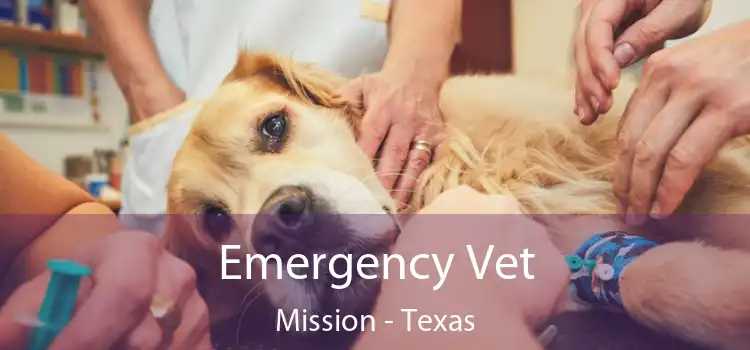 Emergency Vet Mission - Texas