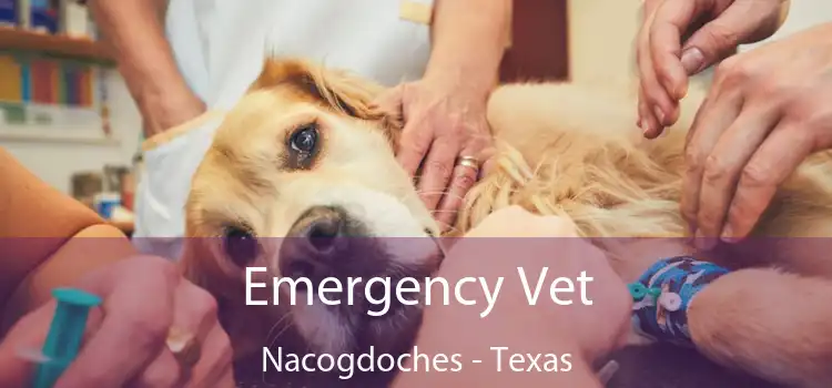 Emergency Vet Nacogdoches - Texas