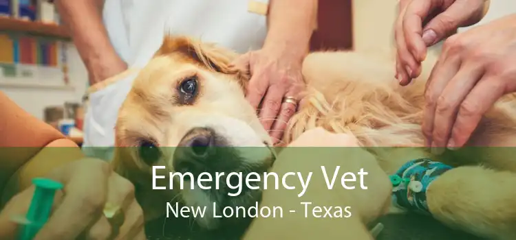 Emergency Vet New London - Texas