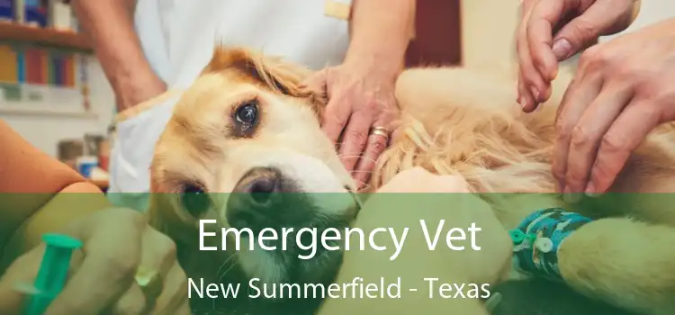 Emergency Vet New Summerfield - Texas