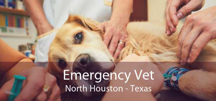 Emergency Vet North Houston - Texas