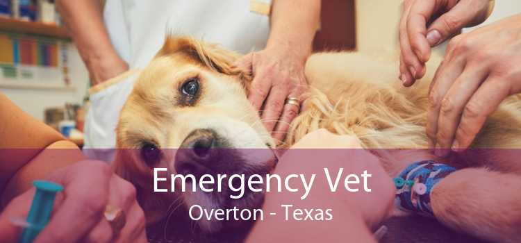 Emergency Vet Overton - Texas