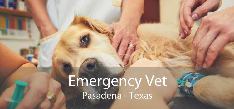 Emergency Vet Pasadena - Texas