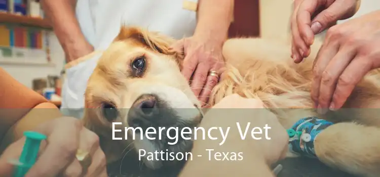 Emergency Vet Pattison - Texas