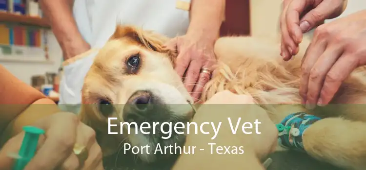 Emergency Vet Port Arthur - Texas