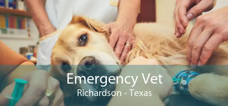 Emergency Vet Richardson - Texas