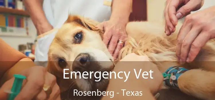 Emergency Vet Rosenberg - Texas