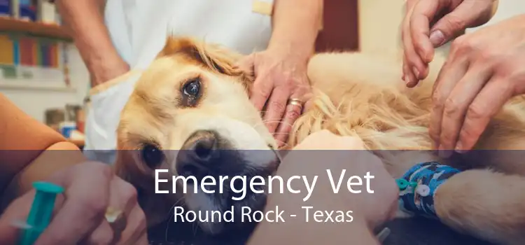 Emergency Vet Round Rock - Texas