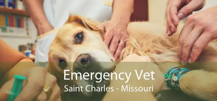 Emergency Vet Saint Charles - Missouri