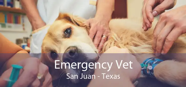 Emergency Vet San Juan - Texas