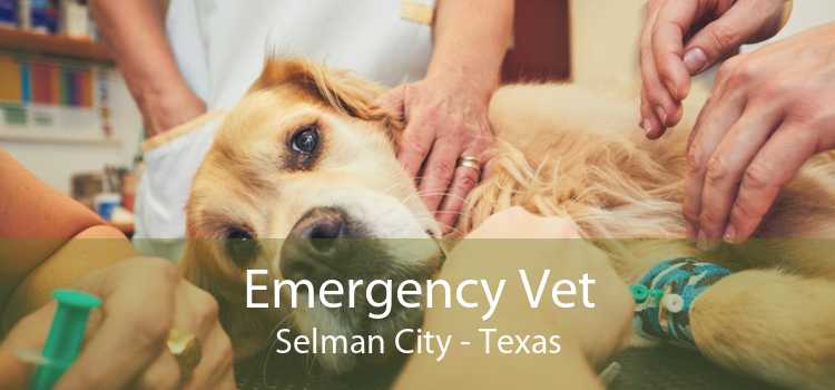 Emergency Vet Selman City - Texas