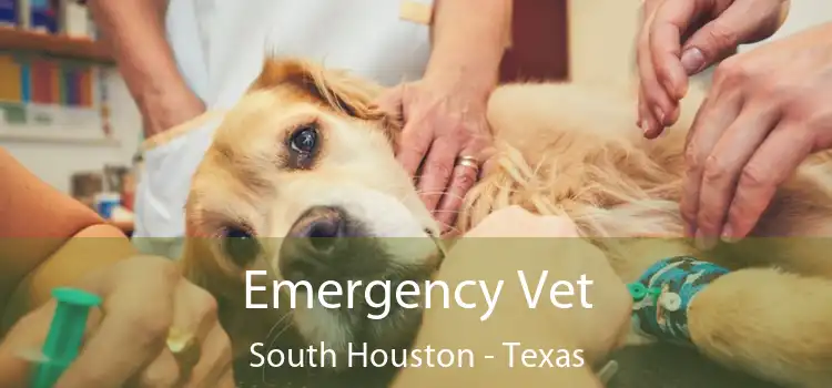 Emergency Vet South Houston - Texas