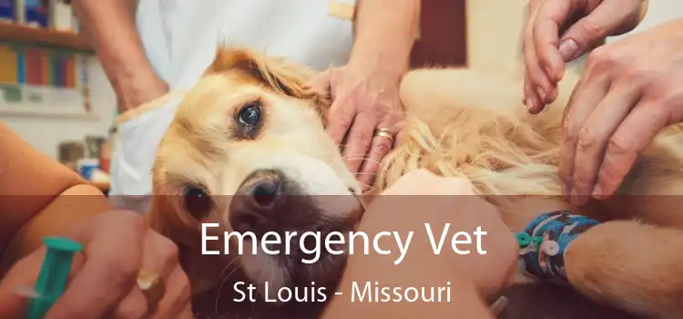 Emergency Vet St Louis - Missouri