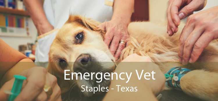 Emergency Vet Staples - Texas