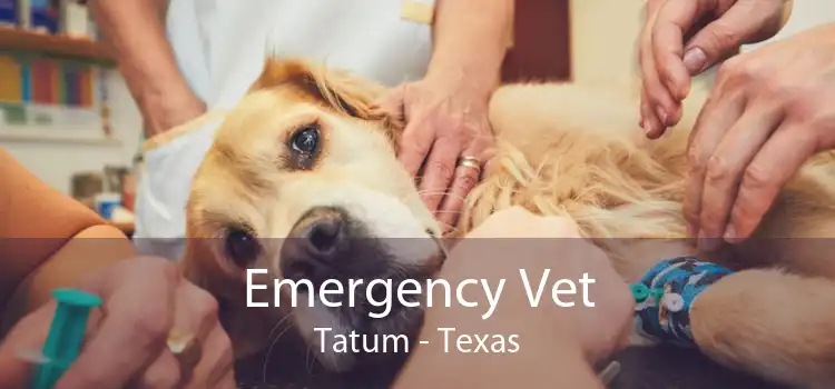 Emergency Vet Tatum - Texas