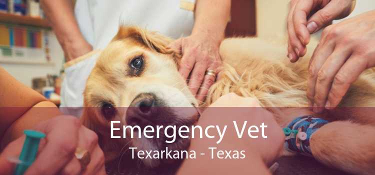 Emergency Vet Texarkana - Texas