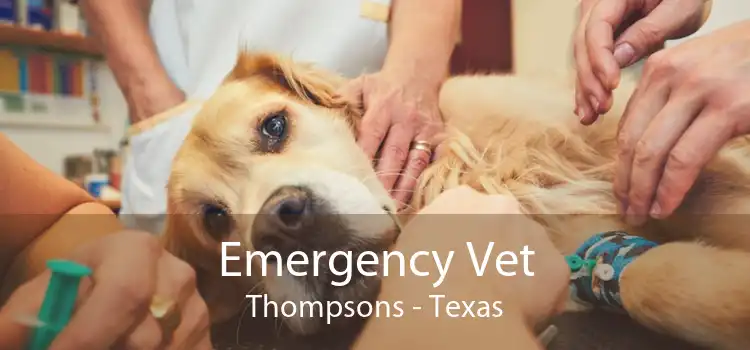 Emergency Vet Thompsons - Texas