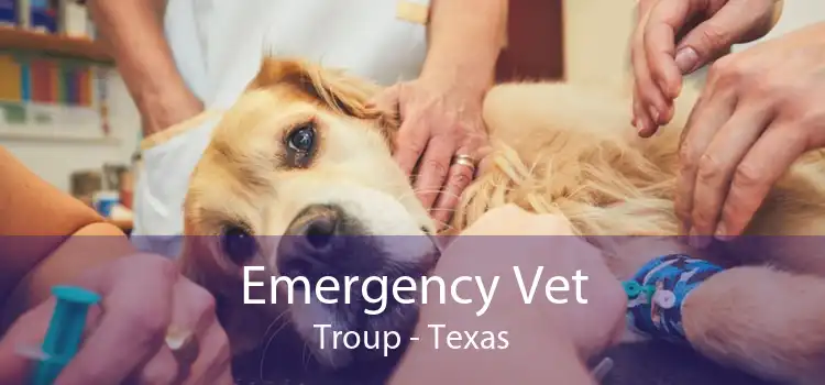 Emergency Vet Troup - Texas