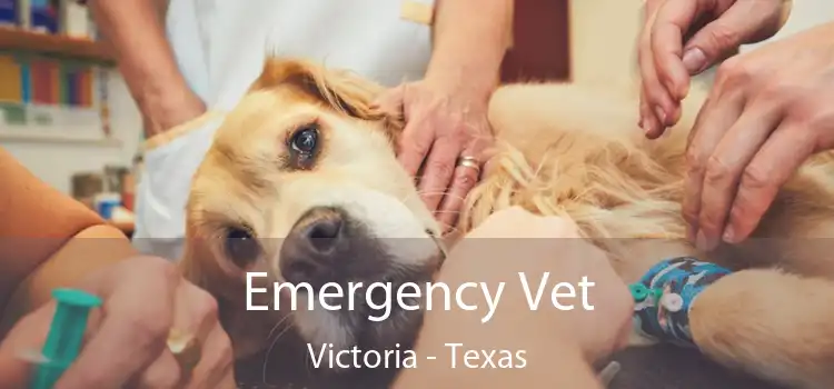 Emergency Vet Victoria - Texas