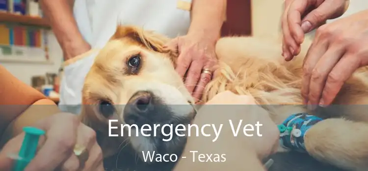 Emergency Vet Waco - Texas