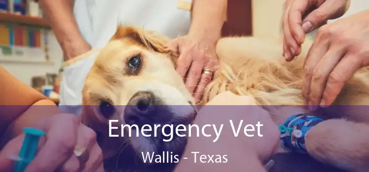 Emergency Vet Wallis - Texas