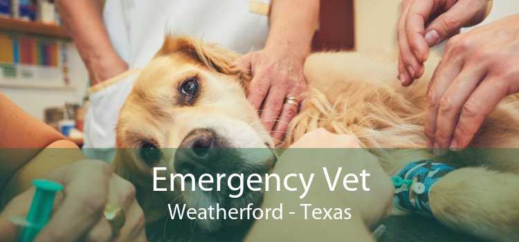 Emergency Vet Weatherford - Texas