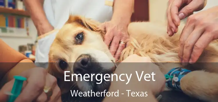 Emergency Vet Weatherford - Texas