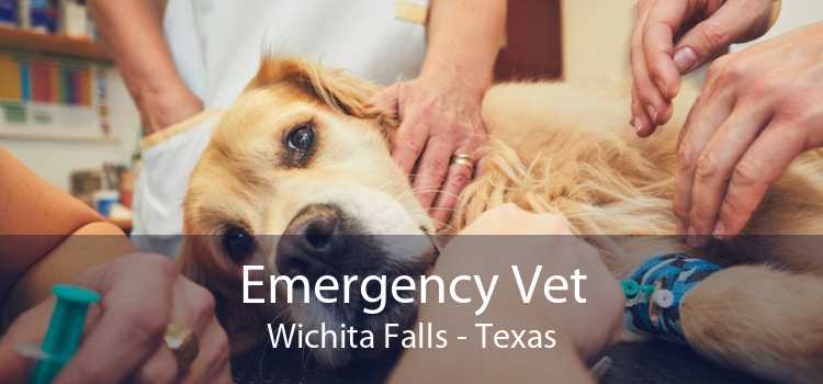 Emergency Vet Wichita Falls - Texas