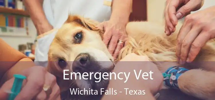 Emergency Vet Wichita Falls - Texas