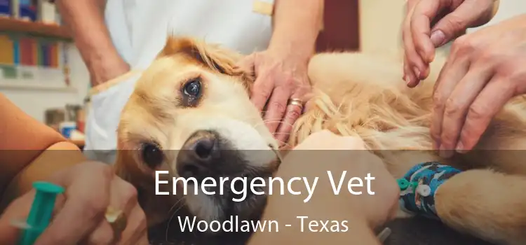 Emergency Vet Woodlawn - Texas