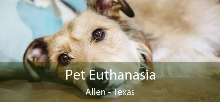 Pet Euthanasia Allen - Texas