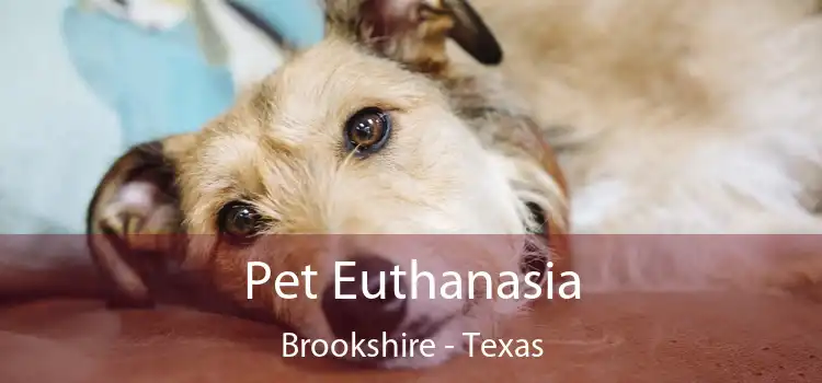 Pet Euthanasia Brookshire - Texas