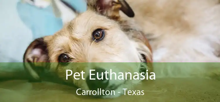 Pet Euthanasia Carrollton - Texas