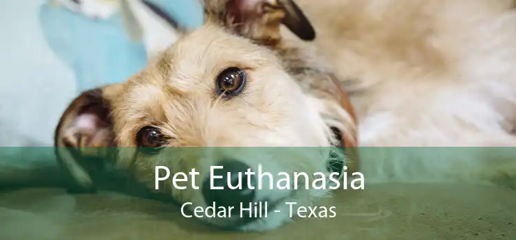 Pet Euthanasia Cedar Hill - Texas