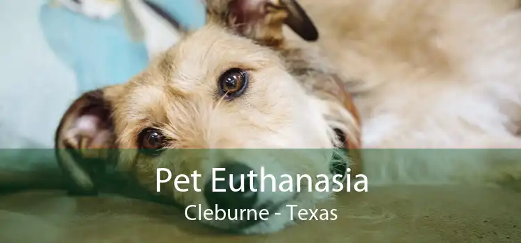 Pet Euthanasia Cleburne - Texas
