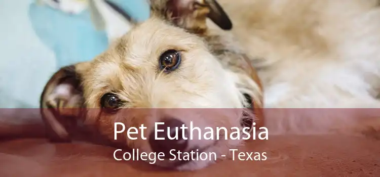 Pet Euthanasia College Station - Texas
