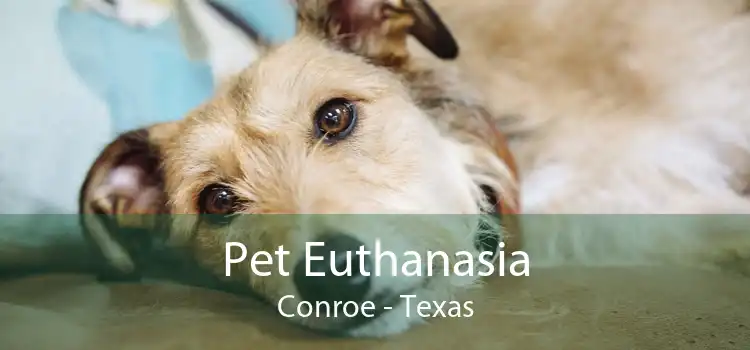 Pet Euthanasia Conroe - Texas