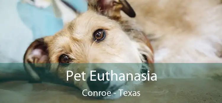 Pet Euthanasia Conroe - Texas