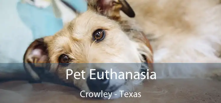 Pet Euthanasia Crowley - Texas