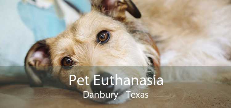 Pet Euthanasia Danbury - Texas