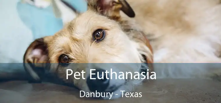 Pet Euthanasia Danbury - Texas