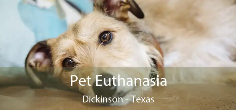 Pet Euthanasia Dickinson - Texas