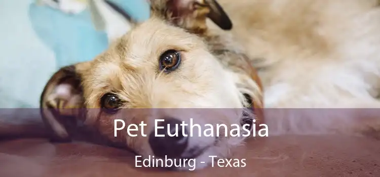 Pet Euthanasia Edinburg - Texas