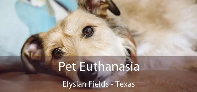 Pet Euthanasia Elysian Fields - Texas