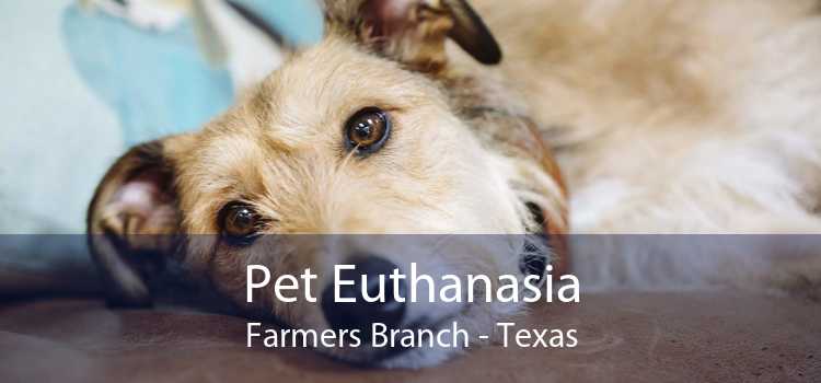 Pet Euthanasia Farmers Branch - Texas