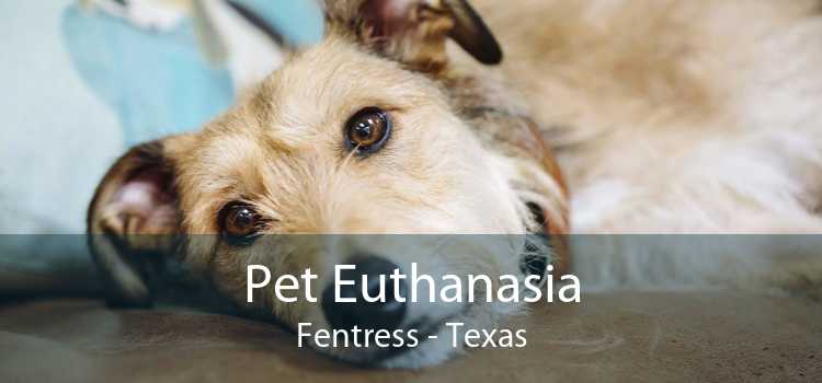Pet Euthanasia Fentress - Texas