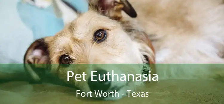 Pet Euthanasia Fort Worth - Texas