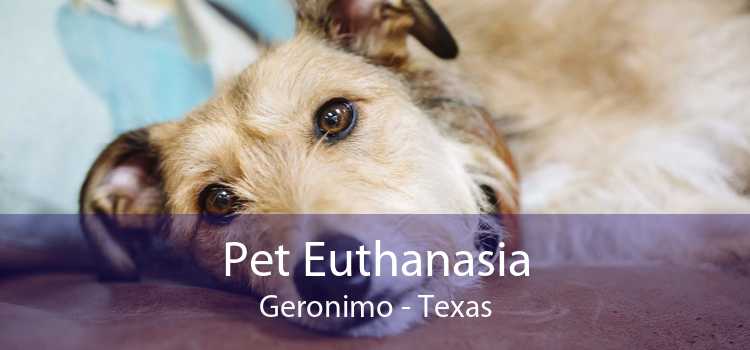 Pet Euthanasia Geronimo - Texas